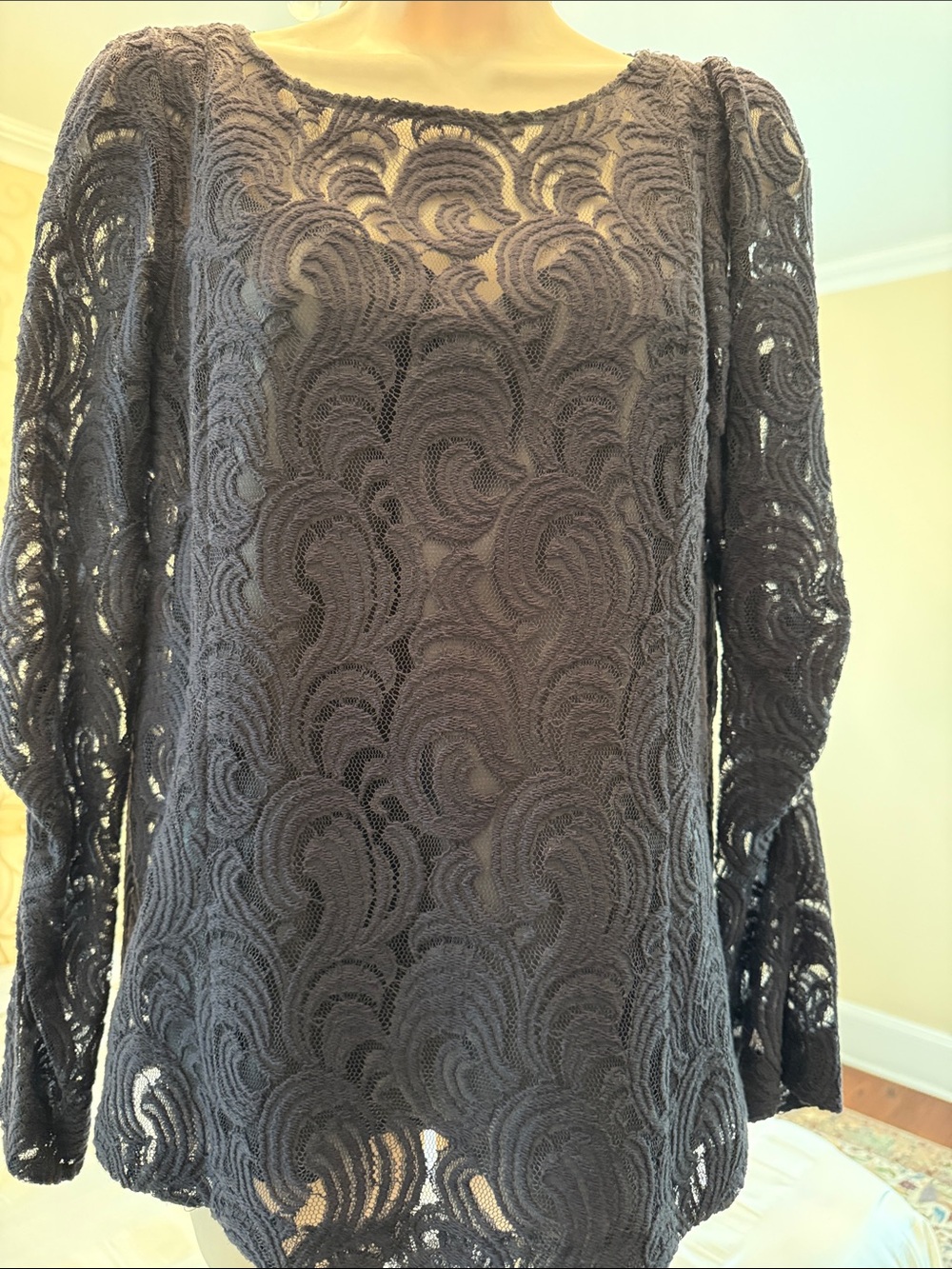 Cynthia Steffe Black Lace Long Sleeve Top